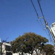 ヒメ日記 2026/02/13 12:38 投稿 ゆうあ ロイヤル土佐