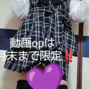 みこと ✨お知らせ 静岡駅前ちゃんこ