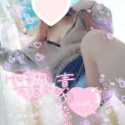 ヒメ日記 2026/03/04 19:01 投稿 みこと 静岡駅前ちゃんこ