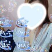 ヒメ日記 2026/03/05 02:38 投稿 みこと 静岡駅前ちゃんこ