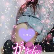 ヒメ日記 2026/03/06 16:08 投稿 みこと 静岡駅前ちゃんこ