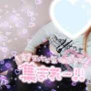 ヒメ日記 2026/03/10 23:48 投稿 みこと 静岡駅前ちゃんこ