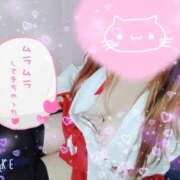 ヒメ日記 2026/03/17 18:08 投稿 みこと 静岡駅前ちゃんこ