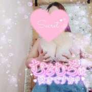 ヒメ日記 2026/03/20 16:08 投稿 みこと 静岡駅前ちゃんこ