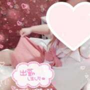 ヒメ日記 2026/03/29 10:48 投稿 みこと 静岡駅前ちゃんこ