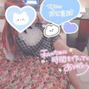 ヒメ日記 2026/06/04 16:58 投稿 みこと 静岡駅前ちゃんこ