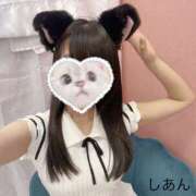 神田しあん しーちゃんこんな子です❕ かりんと赤坂