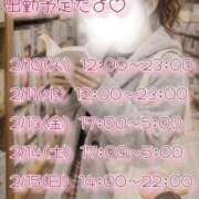 ヒメ日記 2026/02/09 11:29 投稿 まこ 丸妻 厚木店