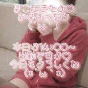 ヒメ日記 2026/02/15 10:27 投稿 まこ 丸妻 厚木店