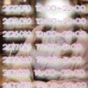 ヒメ日記 2026/02/21 22:50 投稿 まこ 丸妻 厚木店