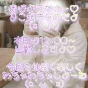 まこ おはようだよーーっ♡♡♡ 丸妻 厚木店