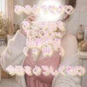 ヒメ日記 2026/03/12 08:55 投稿 まこ 丸妻 厚木店