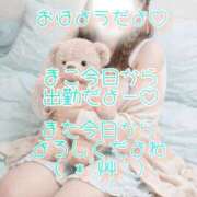 ヒメ日記 2026/04/07 08:56 投稿 まこ 丸妻 厚木店