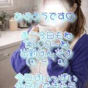 ヒメ日記 2026/04/09 08:49 投稿 まこ 丸妻 厚木店