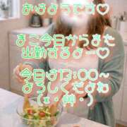 ヒメ日記 2026/04/14 08:55 投稿 まこ 丸妻 厚木店