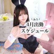 ヒメ日記 2026/03/13 22:03 投稿 みう TOKYO BUNNYS CLUB