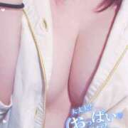 ヒメ日記 2026/03/17 08:50 投稿 きょうか スピードエコ日本橋店