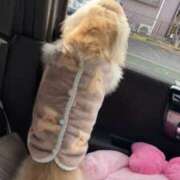 ヒメ日記 2026/02/19 08:34 投稿 竹本菜月 五十路マダム 岐阜店