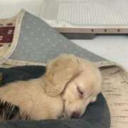 ヒメ日記 2026/03/10 19:48 投稿 神崎　かなの 雫(しずく)