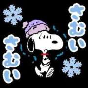 ヒメ日記 2026/02/08 16:37 投稿 すず 熊本ピカソ