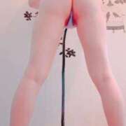 ヒメ日記 2026/02/12 12:53 投稿 すず 熊本ピカソ