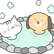 ヒメ日記 2026/02/14 17:33 投稿 すず 熊本ピカソ