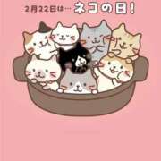ヒメ日記 2026/02/22 14:03 投稿 すず 熊本ピカソ
