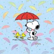 ヒメ日記 2026/02/24 13:33 投稿 すず 熊本ピカソ