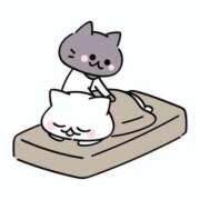 ヒメ日記 2026/03/01 18:55 投稿 すず 熊本ピカソ