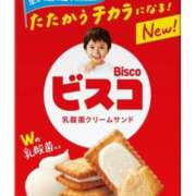 ヒメ日記 2026/03/16 16:41 投稿 すず 熊本ピカソ