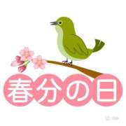 ヒメ日記 2026/03/20 17:09 投稿 すず 熊本ピカソ