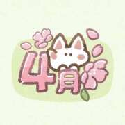 ヒメ日記 2026/04/01 13:33 投稿 すず 熊本ピカソ