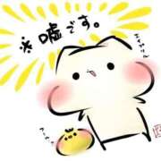 ヒメ日記 2026/04/01 16:34 投稿 すず 熊本ピカソ