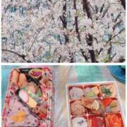 ヒメ日記 2026/04/07 13:33 投稿 すず 熊本ピカソ