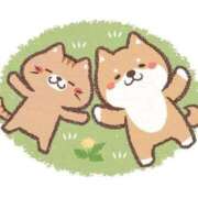 ヒメ日記 2026/04/12 13:23 投稿 すず 熊本ピカソ