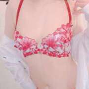 ヒメ日記 2026/04/15 22:53 投稿 すず 熊本ピカソ