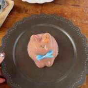 ヒメ日記 2026/04/17 17:23 投稿 すず 熊本ピカソ