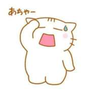 ヒメ日記 2026/04/25 13:43 投稿 すず 熊本ピカソ