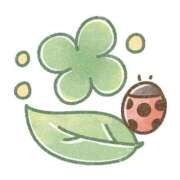 ヒメ日記 2026/04/25 17:23 投稿 すず 熊本ピカソ