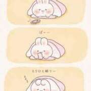 ヒメ日記 2026/05/30 13:33 投稿 すず 熊本ピカソ
