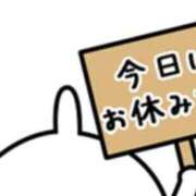 ヒメ日記 2026/06/05 16:36 投稿 すず 熊本ピカソ