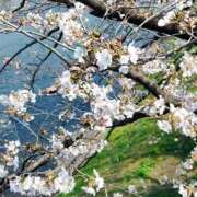 ヒメ日記 2026/03/29 14:04 投稿 まどか 熊本ピカソ