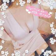 ヒメ日記 2026/04/01 12:01 投稿 まどか 熊本ピカソ