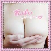 ヒメ日記 2026/04/06 20:16 投稿 まどか 熊本ピカソ