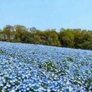 ヒメ日記 2026/04/16 17:43 投稿 まどか 熊本ピカソ