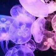 ヒメ日記 2026/04/18 16:16 投稿 まどか 熊本ピカソ