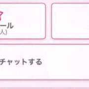 ヒメ日記 2026/02/11 23:53 投稿 いのり 熊本ピカソ