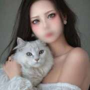 ヒメ日記 2026/02/17 21:21 投稿 いのり 熊本ピカソ