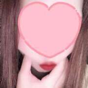 ヒメ日記 2026/02/28 14:03 投稿 いのり 熊本ピカソ