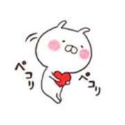 ヒメ日記 2026/03/31 20:05 投稿 いのり 熊本ピカソ